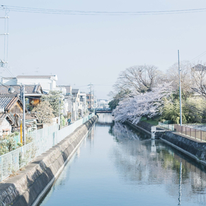 我该怎么面对你