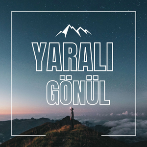 Yaralı Gönül