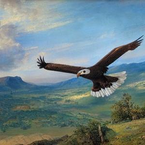 蜉蝣 (25秒片段)