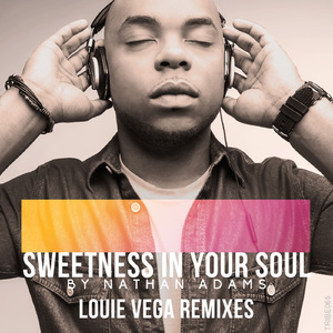 Sweetness in Your Soul (Roots NYC Instrumental Mix)