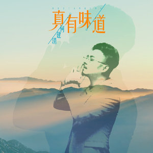 真有味道 (DjQQ版)