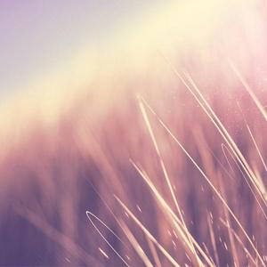 流浪的男儿 闽南语DJ版