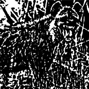 这辈子也得不到