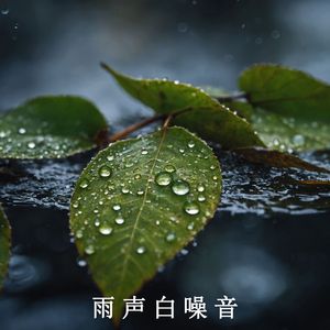 雨滴声与钢琴旋律