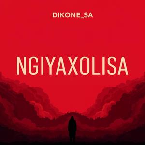 Ngiyaxolisa