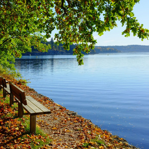 心灵沉浸冥想（The mind is immersed in meditation）