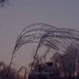 Enchanted Timelessness