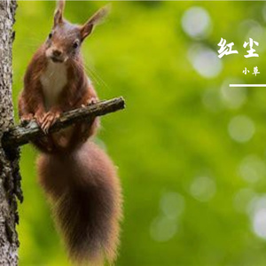 情系古道西风里