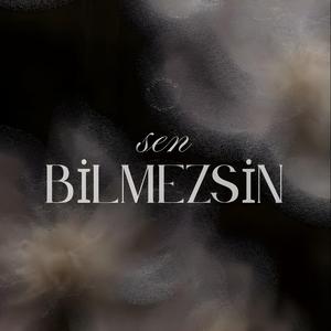 Sen Bilmezsin