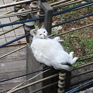 近况