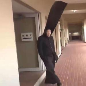 阳光不燥微风正好