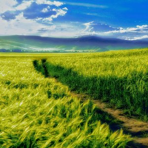 Beyond the Breeze