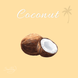 R&B x Pop Type Beat "Coconut"