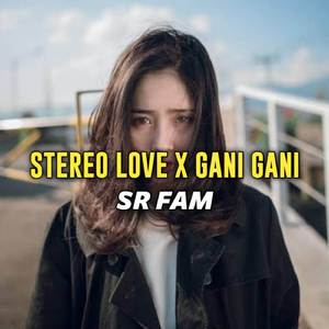 DJ STEREO LOVE X GANI GANI MENGKANE