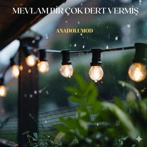 Mevlam Bir Çok Dert Vermiş