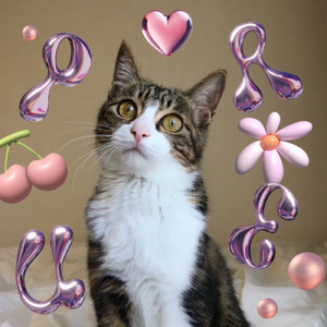 はないちもんめ (Remix)