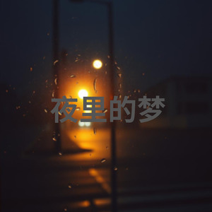 夜里的梦
