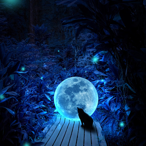 Resting little forest (쉬어가는 작은 숲)