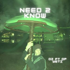 need 2 know (feat. O P Yeti)