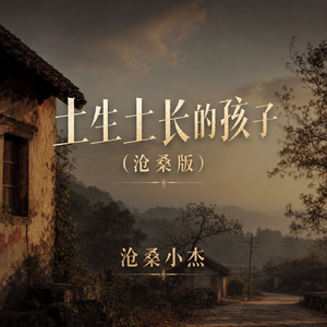 土生土长的孩子(沧桑版)