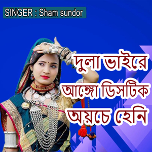 দুলা ভাইরে আঙ্গো ডিসটিক অয়চে হেনি