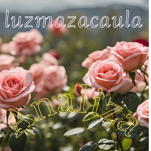 Analiza