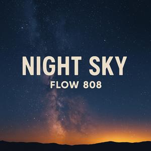 Night Sky