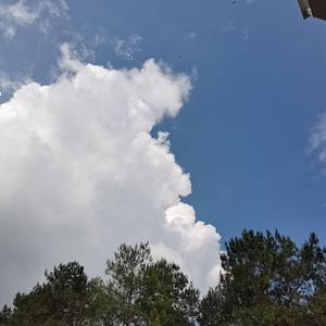 日不落_20220613_185417