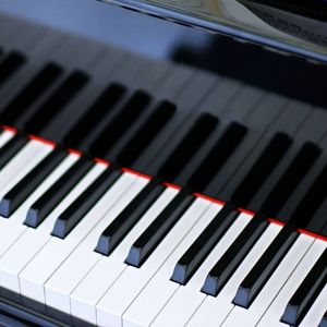 Serenade with roses for strings