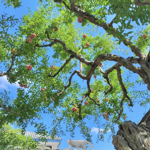 《这雨下的不明不白》