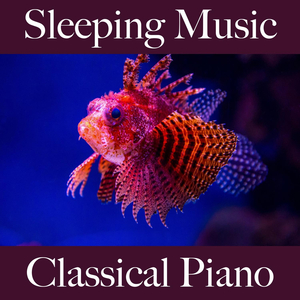 The Future Is Bright