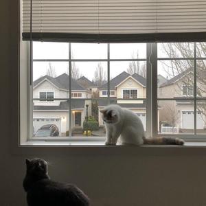 全名（翻自：Uu）