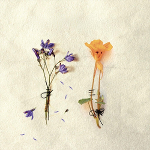 Florecerá