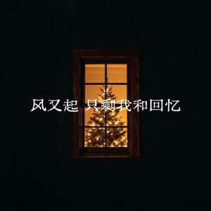 风又起只剩我和回忆