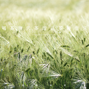 高山流水觅知音 (放松纯音乐)