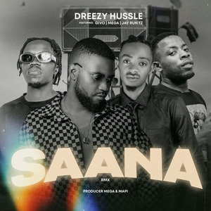 Saana