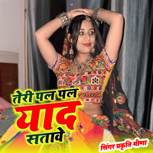 Teri pal pal yad satave