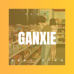 观心自在 (DJ版)