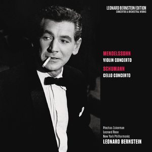 Violin Concerto in E Minor, Op. 64:I. Allegro molto appassionato