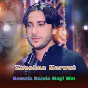 Bewafa Bande Mayi Wm