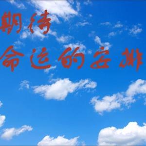 期待命运的安排