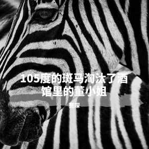 105度的斑马淘汰了酒馆里的董小姐 伴奏