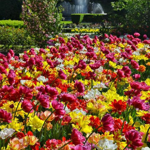 Piano Concerto No.1 in e minor - II. Andantino