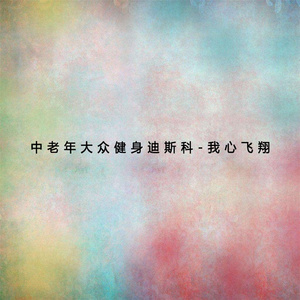 中老年大众健身迪斯科我心飞翔 (上)