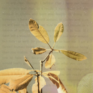 Four Walls of Imaginary Void