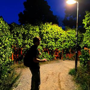 Psykisk ohälsa & sommartider