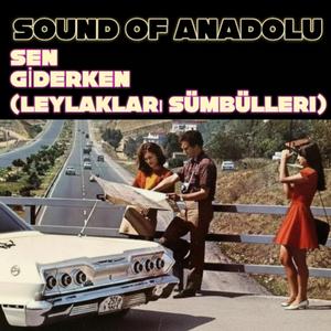 Sen Giderken - Leylakları Sümbülleri
