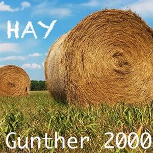 Hay