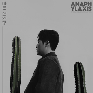마른 선인장