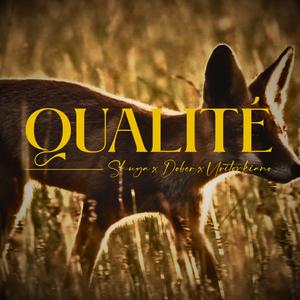 QUALITÉ (feat. URITORKIANO & DOBER UTK)